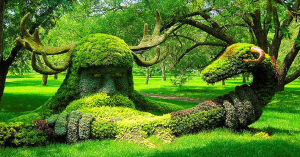 The Lost Gardens of Heligan Three Amazing Natural Beauties in the UK to Visit this Summer 2