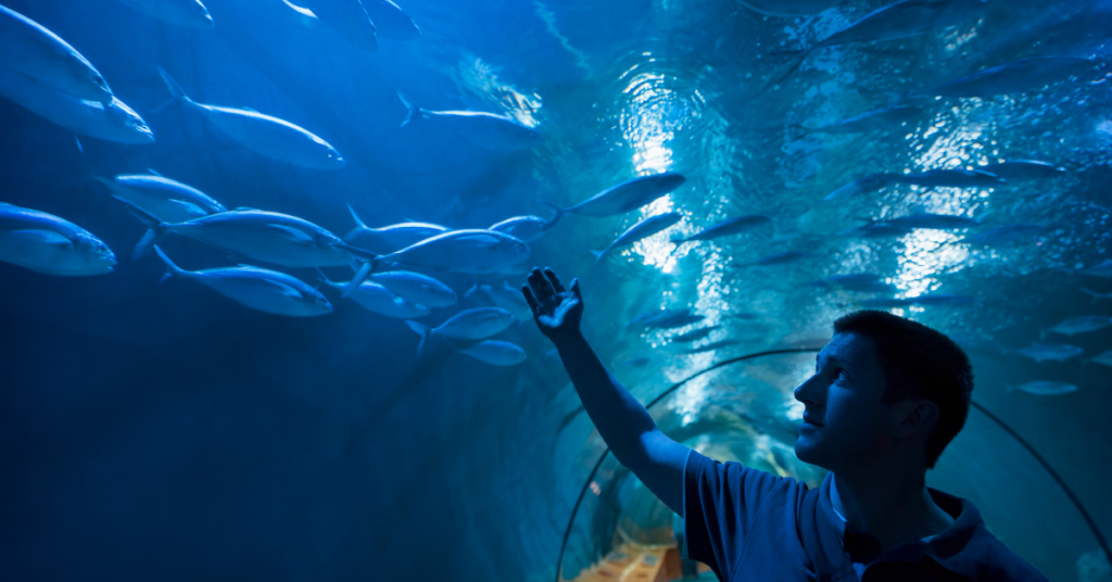 Three Places To Tick Off From Your Bucket List Sea Life London Aquarium 1